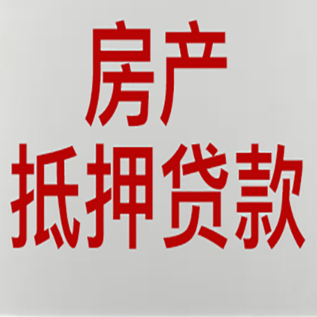 元门乡贷款中介公司新渝启服能力强